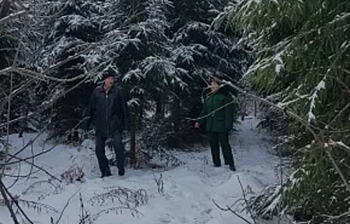 ﻿В тульских лесах началось патрулирование перед Новым годом