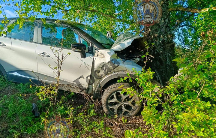 Под Тулой Renault слетел в кювет и врезался в дерево: два человека попали в больницу