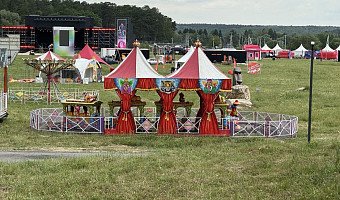 В Тульской области завершается подготовка к музыкальному фестивалю «Дикая Мята»