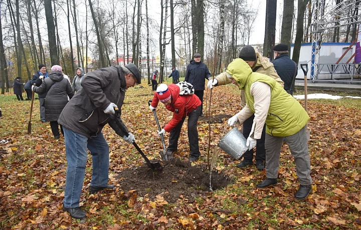 В Комсомольском парке Тулы высадили 40 молодых лип