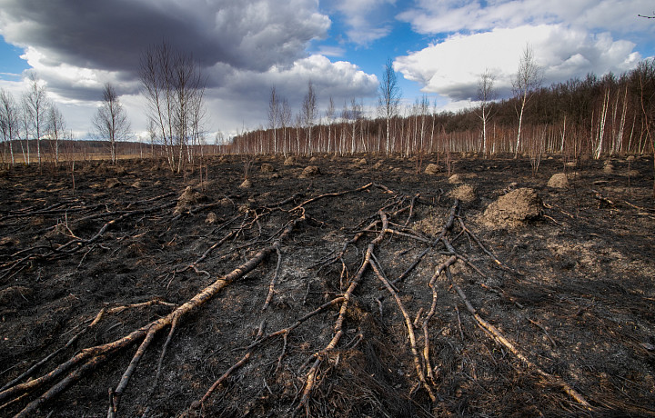 Пожарные больше 270 раз тушили сухую траву и мусор с начала апреля