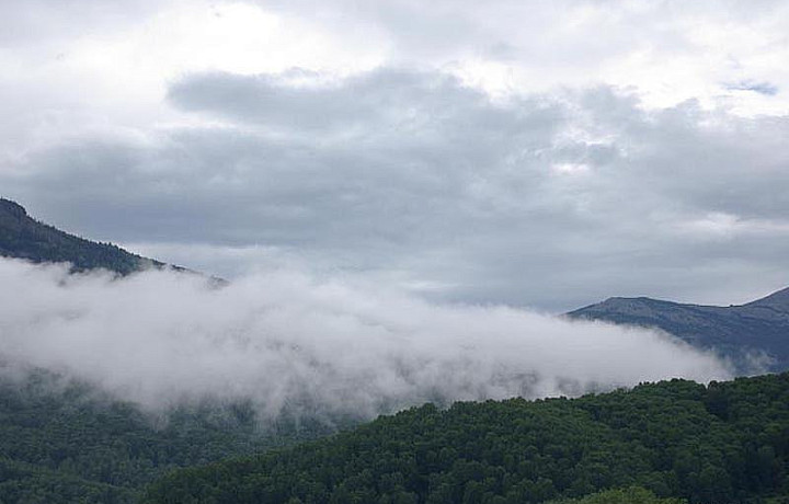 «Если вы приехали сюда и начинаете видеть образы в горах, Алтай вас принял», – гид рассказала, почему стоит посетить сильный, изменчивый и волшебный край