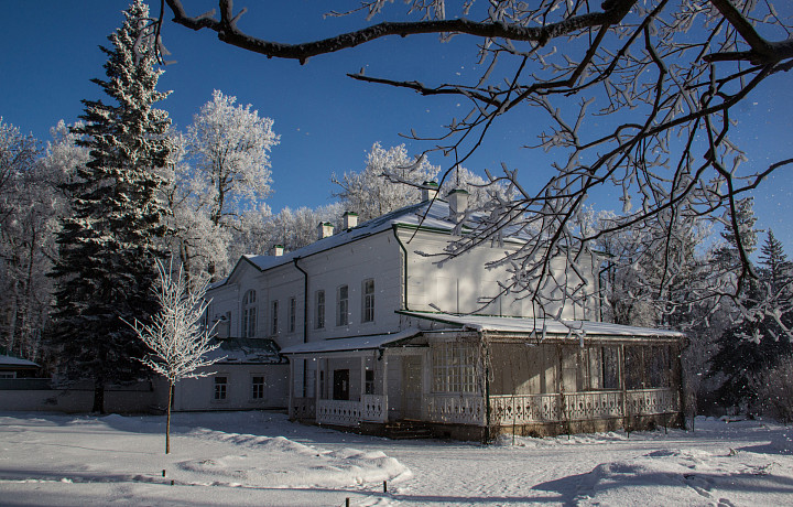 Коньки, домашние спектакли и плум-пудинг: как семья Льва Толстого праздновала Рождество и встречала Новый год в Ясной Поляне