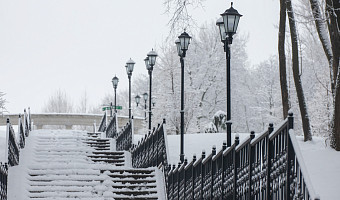 Похолодание, снег и гололёд прогнозируют в Тульской области на выходных, 27 и 28 декабря
