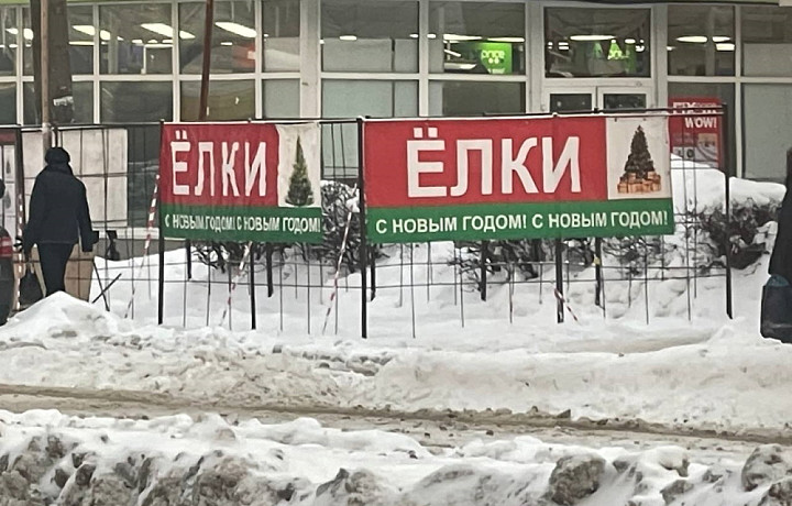 В Туле начали появляться елочные базары