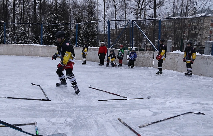 После дворового хоккея можно попасть в НХЛ и ЛПП: что это за вид спорта, и сколько туляков им занимаются