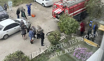 Спасатели потушили пожар в квартире дома в поселке Шварцевский
