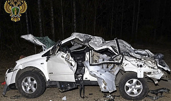 Водитель получил 9 лет колонии за смертельную аварию в Каменском районе