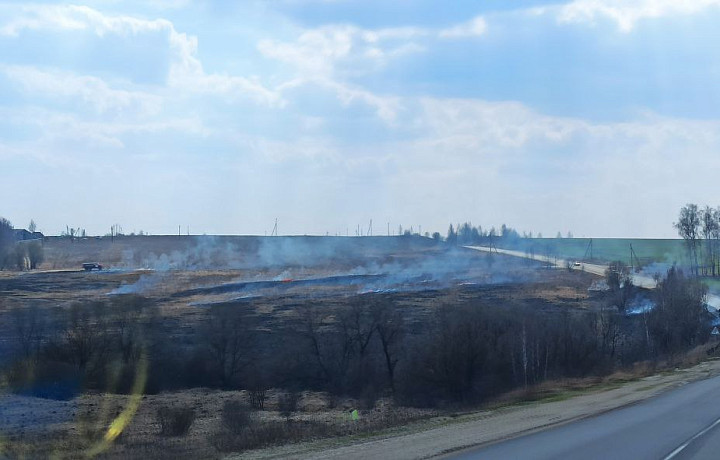«Дорога в дыму»: поля горят в районе деревни Першино в Алексине
