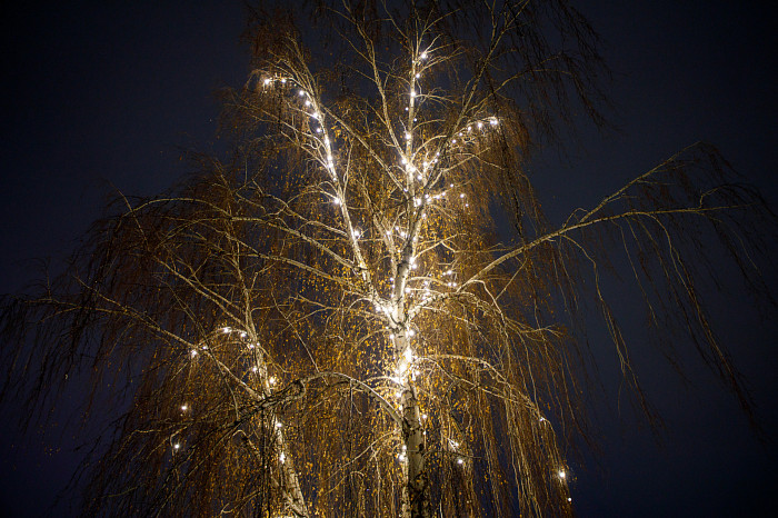 Где сделать красивые новогодние фотографии в Туле