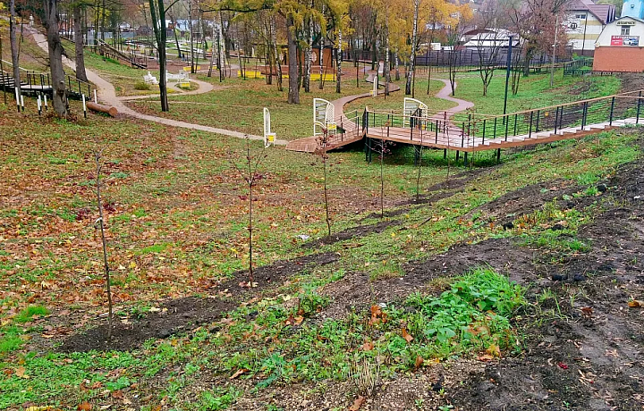 В центре Плавска появилась рябиновая аллея