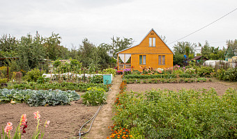Традиционный картофель и модный шалфей: рекомендации для богатого урожая к дачному сезону-2026 в Тульской области 
