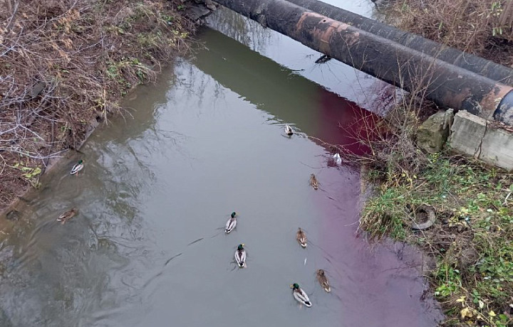 Туляки заметили странный цвет воды в реке Воронке