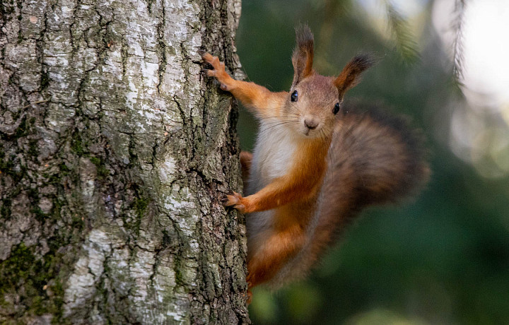 1 ноября: какой сегодня праздник, этот день в истории России и Тулы