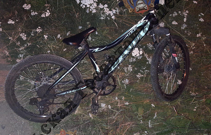 Мальчик на велосипеде пострадал в ДТП в Тульской области