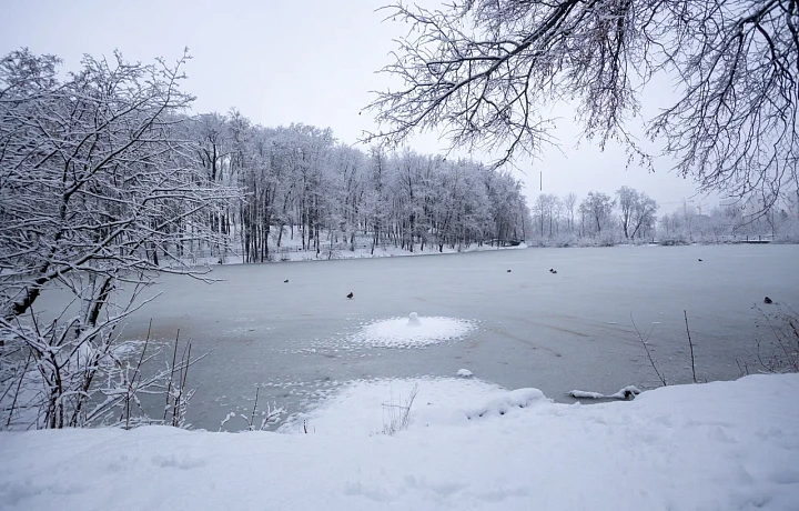 В Щекинском районе пропавшего 77-летнего рыбака не могут найти неделю: а толстый ли сейчас лед и что делать, если провалился в полынью?