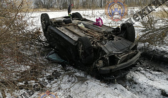 В Кимовском районе Renault Logan слетел в кювет: водителя госпитализировали