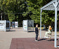 В Центральном парке Тулы открыли выставку, посвящённую 120-летию Крылова