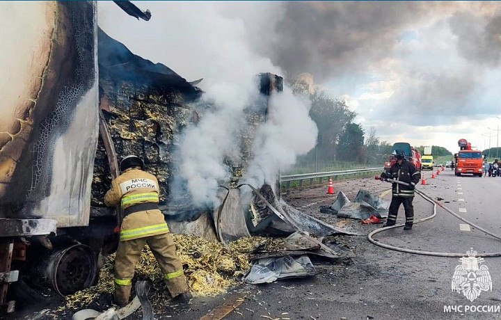 В Тульской области 15 августа спасатели потушили три пожара