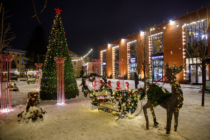 Где сделать красивые новогодние фотографии в Туле