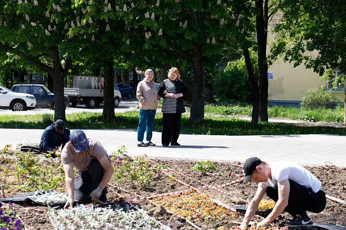 На Славянском бульваре в Туле высадят около 25 тысяч однолетних и многолетних цветов