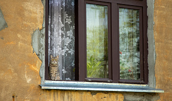 Роспотребнадзор дал советы по созданию дома оптимального микроклимата