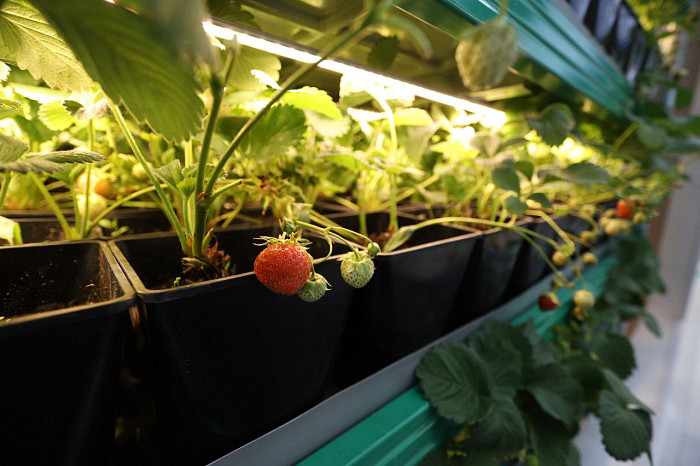 Люди, машины, роскошь: яркие фото третьего дня ПМЭФ-2024