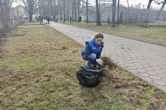 Депутаты Тульской городской Думы приняли участие в субботнике