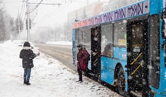 Беспалов: Общественный транспорт в Туле работает штатно