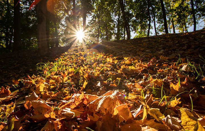 Народные приметы 21 октября: почему в день Трифона и Пелагеи запрещено рассказывать о плохих снах