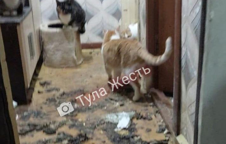 Туляки пожаловались на зловоние из квартиры в одном из домов на улице Металлургов