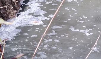 Жители тульского микрорайона «Юго-Восточный» пожаловались на странную пену в реке Рогожня