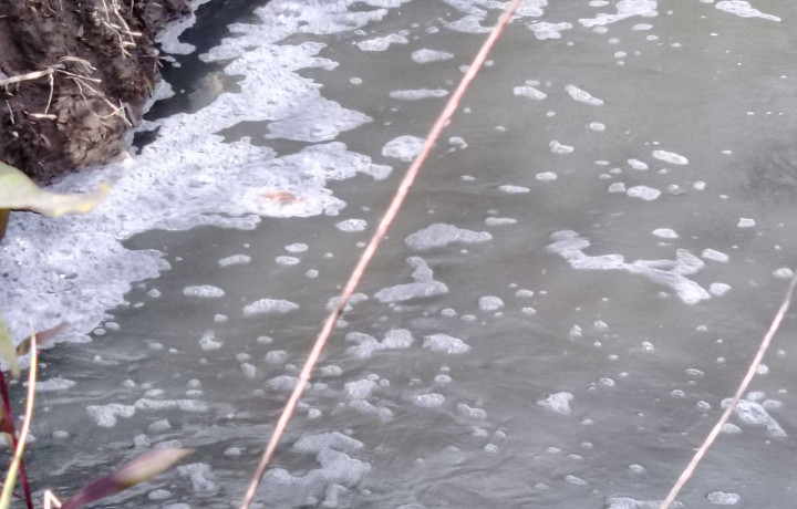 Жители тульского микрорайона «Юго-Восточный» пожаловались на странную пену в реке Рогожня