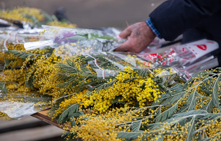 Поздравить женщин-коллег с 8 Марта планируют 71% тульских мужчин