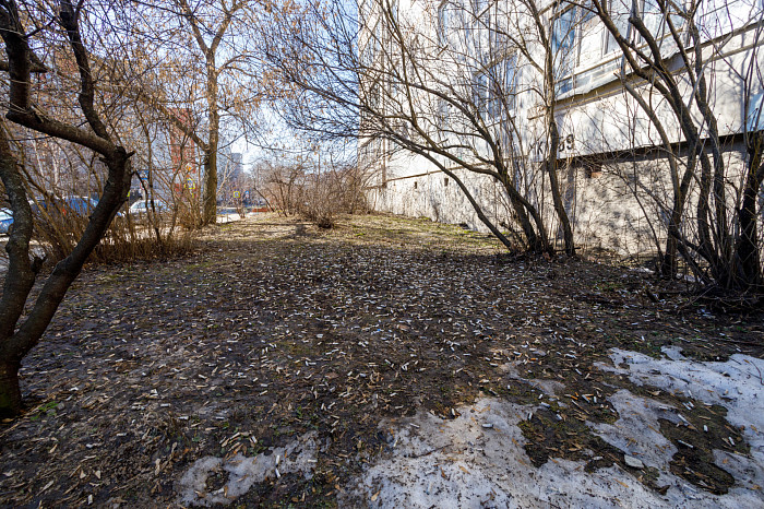 Идет – бычок валяется: фоторепортаж с улиц Тулы, от которого хочется прокашляться