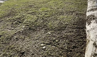 Стадион «Арсенала» в Туле признан негодным для матча Кубка России с «Локомотивом»