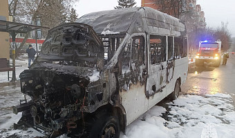 При пожаре в автолайне в Щёкине никто не пострадал