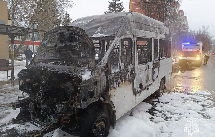 При пожаре в автолайне в Щёкине никто не пострадал