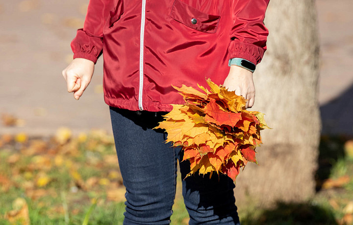 Начало сентября в Туле окажется холоднее нормы