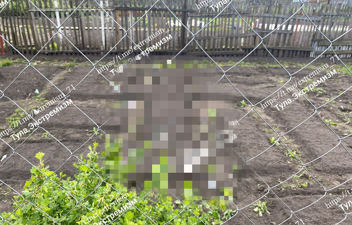 Жителя Киреевска оштрафовали за грядки в виде свастики