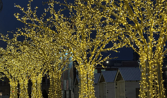 В Туле 1 декабря зажглась новогодняя иллюминация