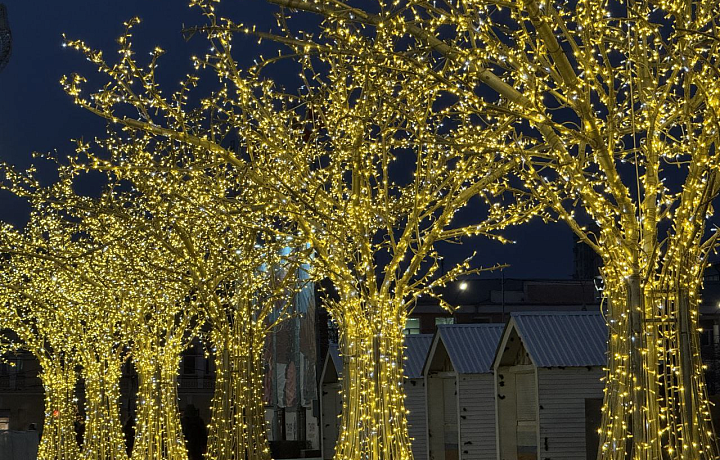 В Туле 1 декабря зажглась новогодняя иллюминация