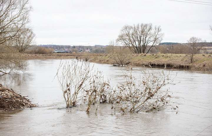 Уровень воды в реке Упа в Туле поднялся на 19 сантиметров за прошедшие сутки
