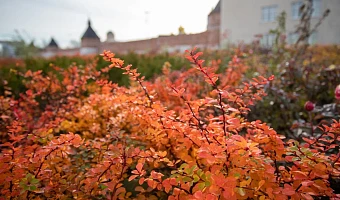 В тульском СФР назвали зоны с правом на отселение по чернобыльским льготам: какие льготы положены людям