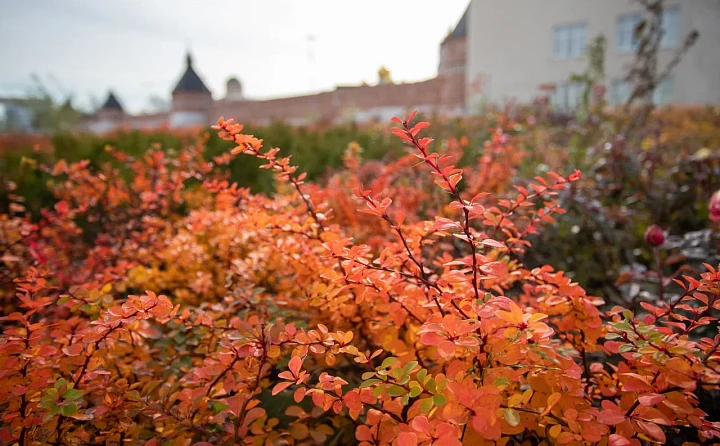В тульском СФР назвали зоны с правом на отселение по чернобыльским льготам: какие льготы положены людям