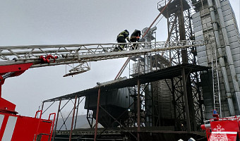 В Арсеньево Тульской области огнеборцы потушили пожар в зерносушилке