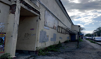 В Туле продают дом Пушкина в Зареченском районе за 50 млн рублей