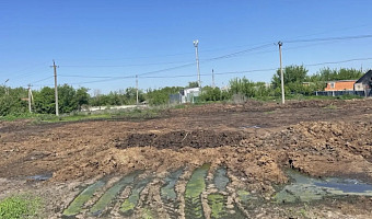 Жители Новомосковска добились проверки из-за навоза у домов