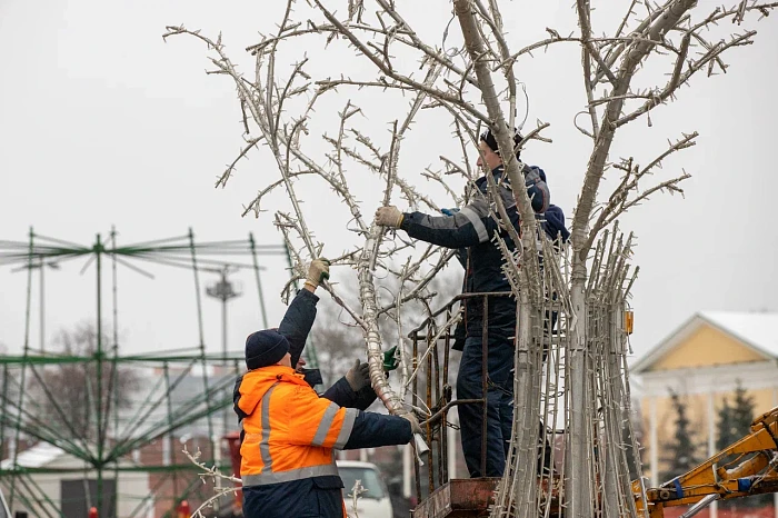 Тулу украсят к Новому году до 1 декабря