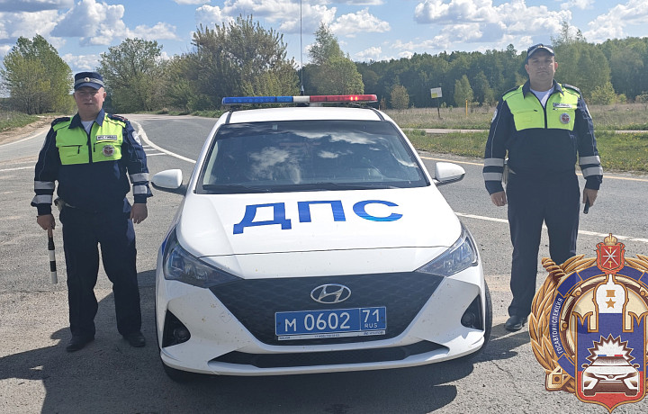 Тульские инспекторы ГАИ помогли семье с ребёнком на трассе М-4 «Дон»